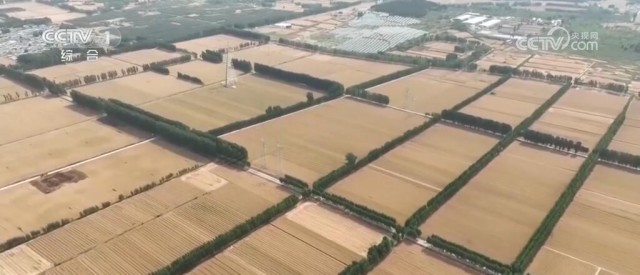九游娱乐 - 2117万亿元、2096亿人次……创新高！“火热”数据印证我国经济(图6)